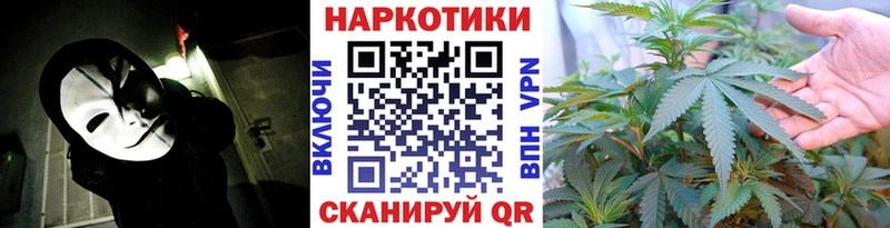 Наркошоп купить Alpha-PVP  Меф  Псилоцибиновые грибы  ГАШ  Северо-Курильск