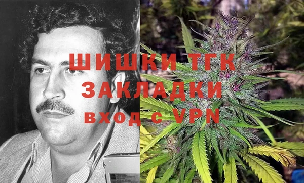 ГАЛЛЮЦИНОГЕННЫЕ ГРИБЫ Белокуриха