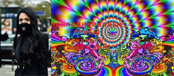 ГАЛЛЮЦИНОГЕННЫЕ ГРИБЫ Белокуриха