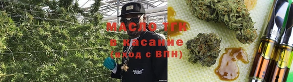 ГАЛЛЮЦИНОГЕННЫЕ ГРИБЫ Белокуриха
