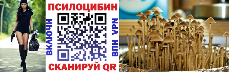 Купить где Северо-Курильск Псилоцибиновые грибы Psilocybe